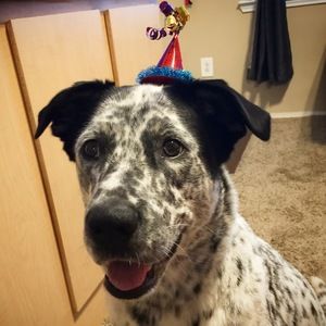 Meet your Posher, Monica